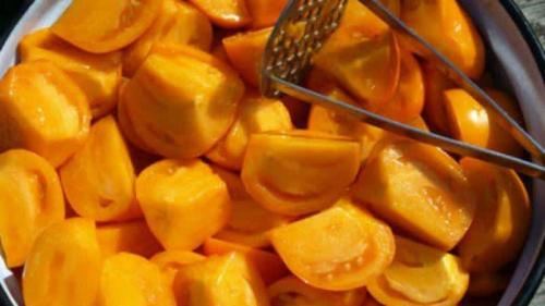 Томат хурма пасынкование. Как вырастить на своём участке томат «Хурма» — хитрости и полезные советы от опытных огородников