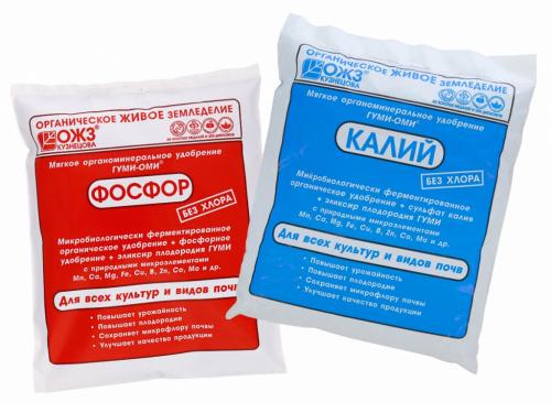 Осенний уход за виноградом на Урале: как подготовить лозу к зиме 02