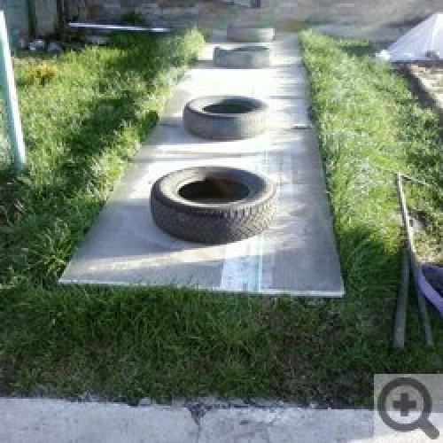 Виноград в Сибири и на Урале: Когда посадить и как ухаживать 03