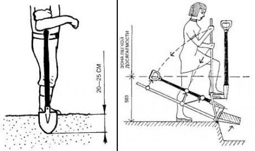 Когда перекапывать землю весной. Чем хороша осенняя копка