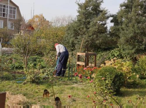 Копать огород правильно вручную осенью и весной. Когда нужно вспахивать землю? 01