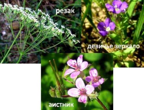 Как правильно копать огород весной. Как подготовить землю весной к посадкам: дачные секреты для ленивых