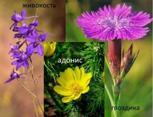 Как правильно копать огород весной. Как подготовить землю весной к посадкам: дачные секреты для ленивых