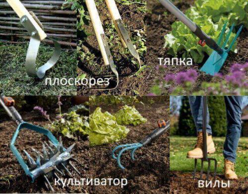 Как правильно копать огород весной. Как подготовить землю весной к посадкам: дачные секреты для ленивых