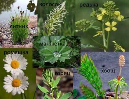 Как правильно копать огород весной. Как подготовить землю весной к посадкам: дачные секреты для ленивых