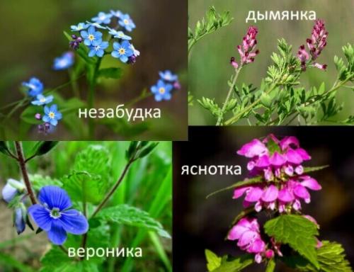 Как правильно копать огород весной. Как подготовить землю весной к посадкам: дачные секреты для ленивых