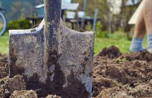 Как заточить лопату в домашних условиях. Дедовский способ заточки лопаты