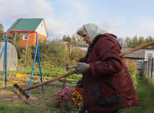 Как правильно держать лопату при копке земли. Как правильно копать в огороде: советы бывалых 03 Как правильно держать лопату при копке земли. Как правильно копать в огороде: советы бывалых 03