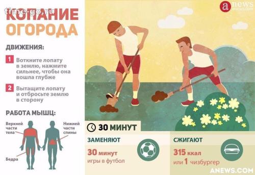 Как правильно работать лопатой. Техника