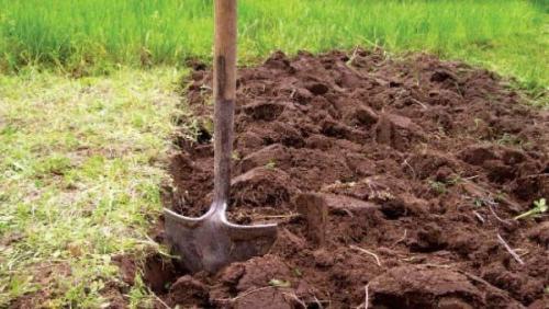 Как правильно копать грядки. А нужно ли копать огород?