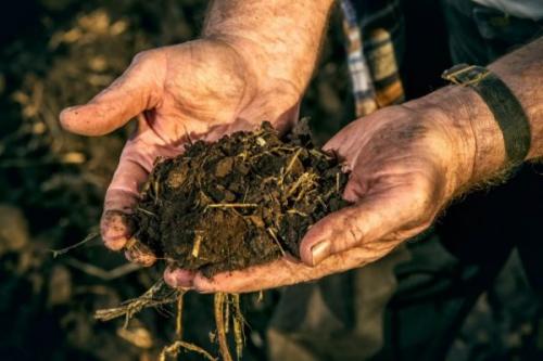 Как правильно копать грядки. А нужно ли копать огород?