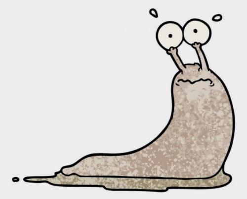 Вредны ли слизни для человека. Опасны ли слизни для здоровья человека