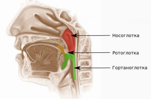 Сопли стекают в горло. Причины фарингита 04