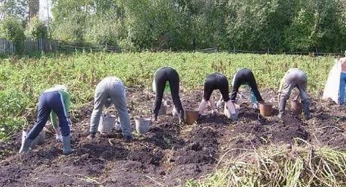 Лопата копать. Инвентарь