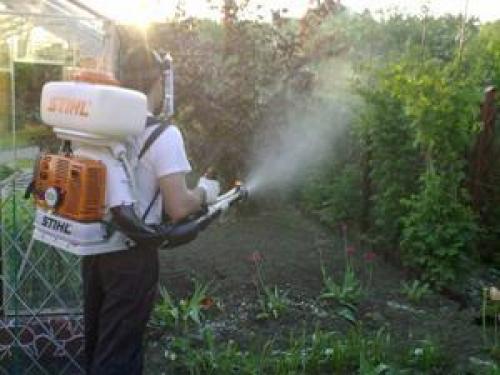 Химические средства борьбы со слизнями. Как бороться с ними?