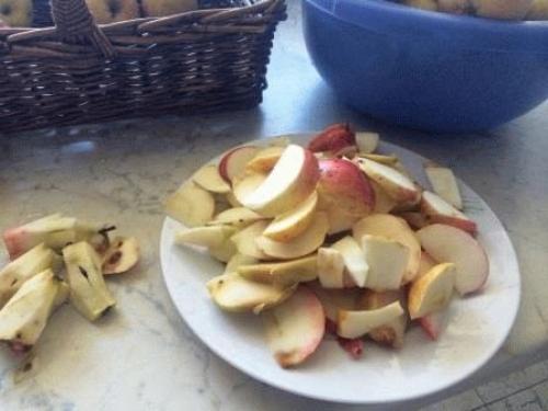 Сушеные яблоки рецепт в сушилке. Как правильно сушить яблоки в электросушилке, практические рекомендации