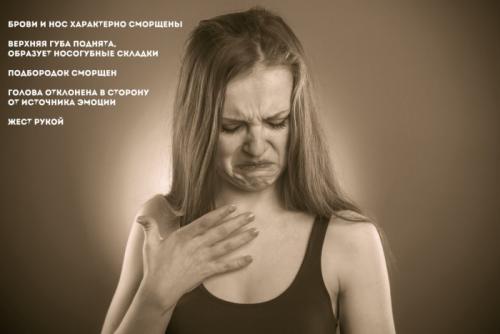 О чем говорит внезапная тяга к чесноку. Введение 01 О чем говорит внезапная тяга к чесноку. Введение 01