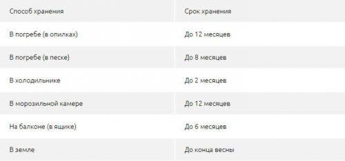 Как хранить морковь в квартире. 8 способов сохранения свежей моркови