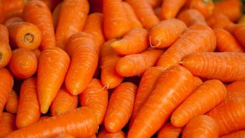 Как хранить тертую морковь в банке. Пошаговые рецепты: как солить морковь на зиму