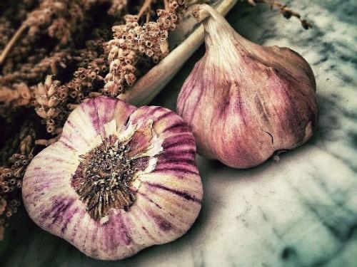 Чеснок и кишечник. Диетолог объяснил, кому противопоказано есть чеснок