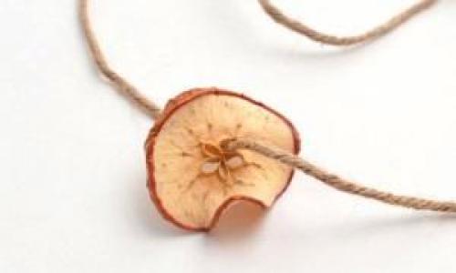 Какие виды яблок лучше использовать для сушки в электросушилке. Какие сорта яблок можно сушить?