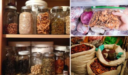 Электросушилка для фруктов: рецепты и полезные советы 04 Электросушилка для фруктов: рецепты и полезные советы 04