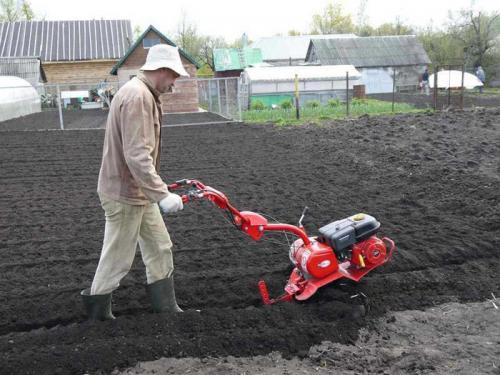 Как и чем облегчить перекопку огорода. Как производить перекопку огорода