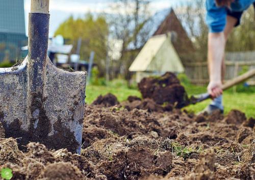 Как и чем облегчить перекопку огорода. Как производить перекопку огорода