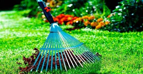 Ручной инструмент для сада и огорода. Какие садовые инструменты нужны каждому огороднику