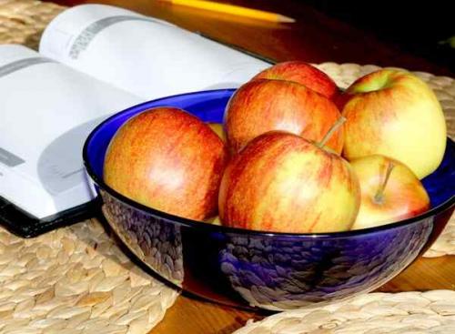 Сэкономьте деньги и энергию, сушивая яблоки без сушилки 02 Сэкономьте деньги и энергию, сушивая яблоки без сушилки 02