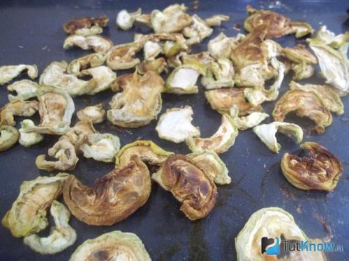 Сушеные кабачки лучшие рецепты заготовки на зиму. Сохраняются ли полезные свойства при сушке 14 Сушеные кабачки лучшие рецепты заготовки на зиму. Сохраняются ли полезные свойства при сушке 14