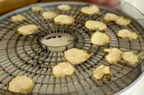 Сушеные кабачки на зиму. Сушеные кабачки