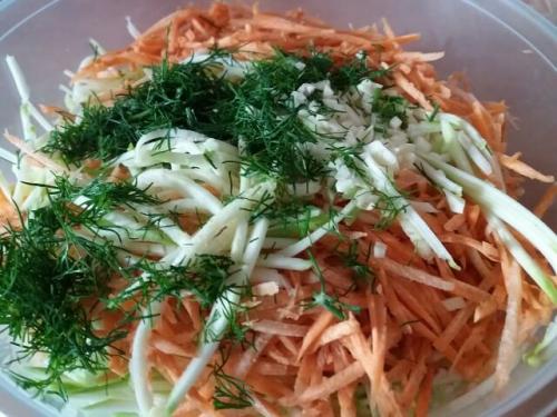 Сушеные кабачки по-корейски. Кабачки по-корейски быстрого приготовления на сейчас