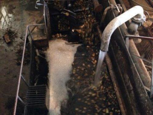 Линия по производству сахара: как это работает 02 Линия по производству сахара: как это работает 02