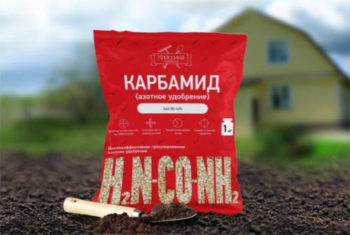 Чем удобрять грушу в 2022 году. Чем можно подкормить грушу, сроки и способы внесения удобрений