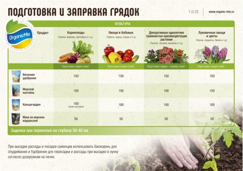 Увеличьте ваш урожай черной смородины с помощью отводков 01 Увеличьте ваш урожай черной смородины с помощью отводков 01