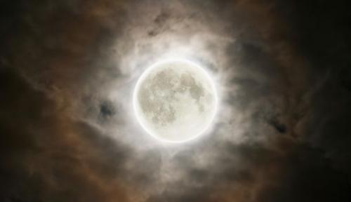 Как и когда убирать свеклу с грядки на хранение. Когда убирать урожай свеклы: оптимальные сроки