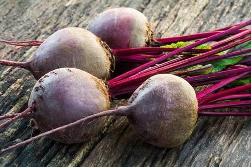 Как и когда убирать свеклу с грядки на хранение. Когда убирать урожай свеклы: оптимальные сроки 12 Как и когда убирать свеклу с грядки на хранение. Когда убирать урожай свеклы: оптимальные сроки 12