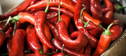 Как избавиться от гусениц. Привлечение естественных врагов гусениц 07 Как избавиться от гусениц. Привлечение естественных врагов гусениц 07