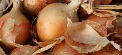 Как избавиться от гусениц. Привлечение естественных врагов гусениц 10 Как избавиться от гусениц. Привлечение естественных врагов гусениц 10