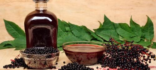 Как избавиться от гусениц. Привлечение естественных врагов гусениц 05 Как избавиться от гусениц. Привлечение естественных врагов гусениц 05