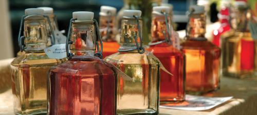 Как избавиться от гусениц. Привлечение естественных врагов гусениц 08 Как избавиться от гусениц. Привлечение естественных врагов гусениц 08