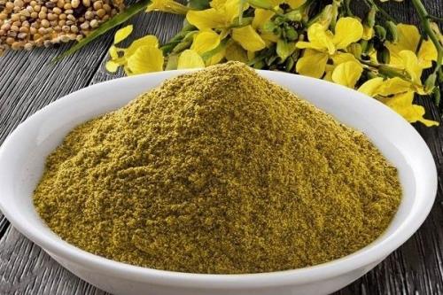 Народные средства от тли и гусениц. Как избавиться одним махом от тли, гусениц и слизней