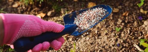 Улучшите урожай груши осенью: проверенные способы удобрения 02