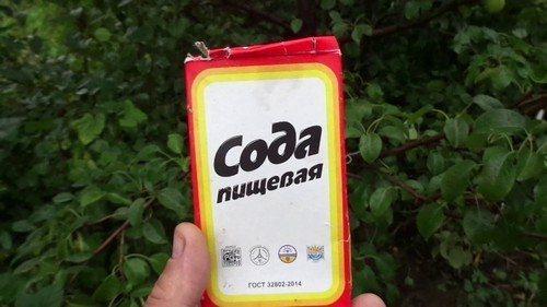 Как избавить от гусеницы на капусте народными средствами. 5 народных способов обработать капусту от гусениц