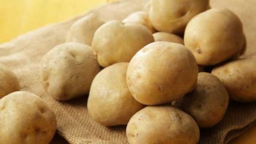 Картофель лилея характеристики. Описание сорта Лилли