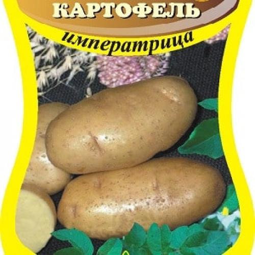 Картофель царица. Скороспелый сорт «Императрица» для посева семенами