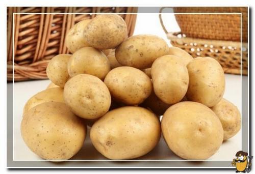 Картофель бриз. Характеристики сорта