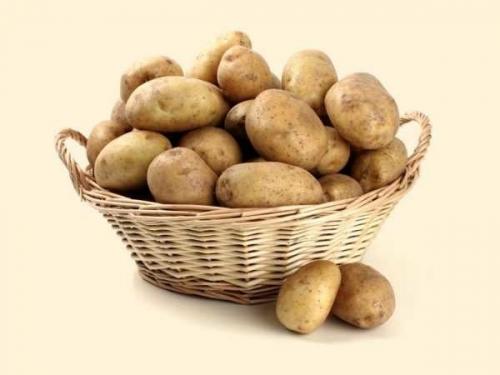 Картофель царица. Сорт картофеля императрица, описание, характеристика и отзывы, а также особенности выращивания