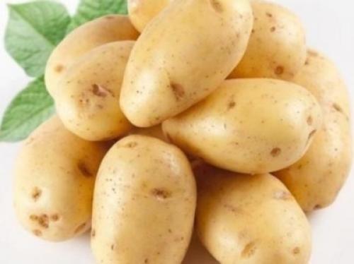 Картофель царица. Сорт картофеля императрица, описание, характеристика и отзывы, а также особенности выращивания